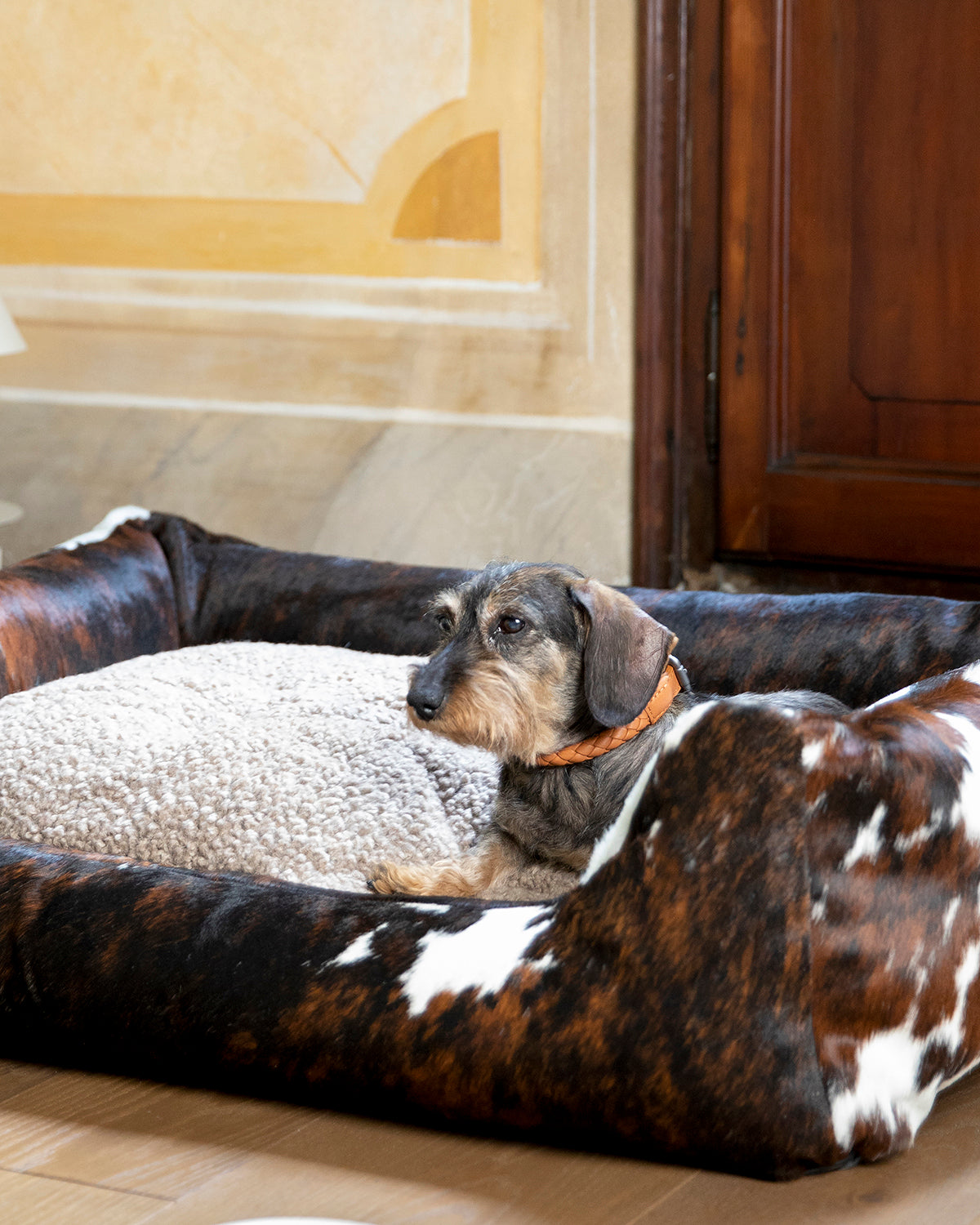 קולר עור לכלבים