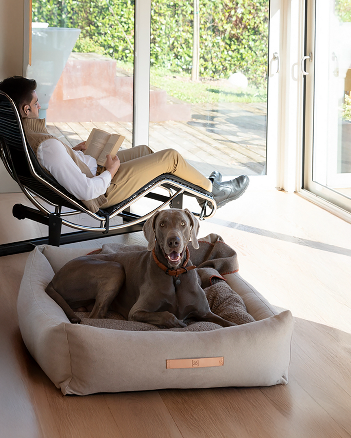 מיטה לכלב מכותנה אורגנית | HENRI DOG BED