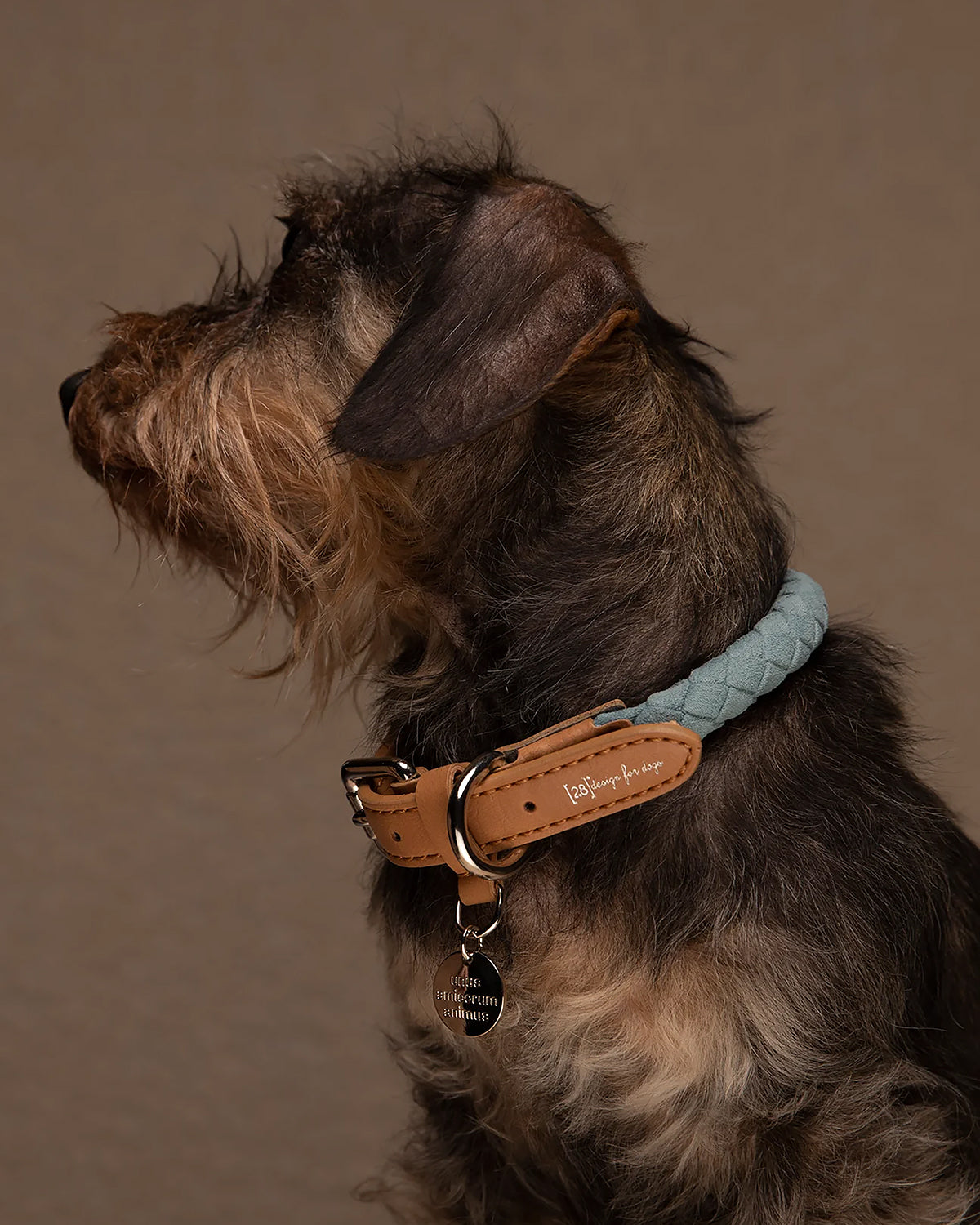 FERDINANDO MICROFIBRE COLLAR | קולר לכלב