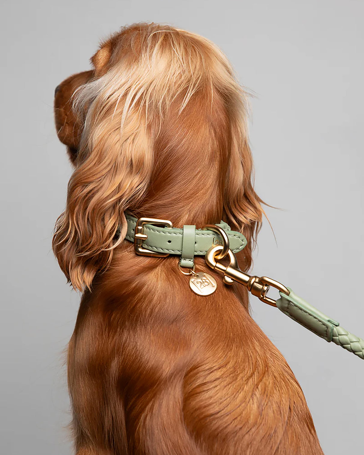 רצועה קלועה לכלב מעור נאפה איטלקי | FERDINANDO NAPPA LEATHER LEASH