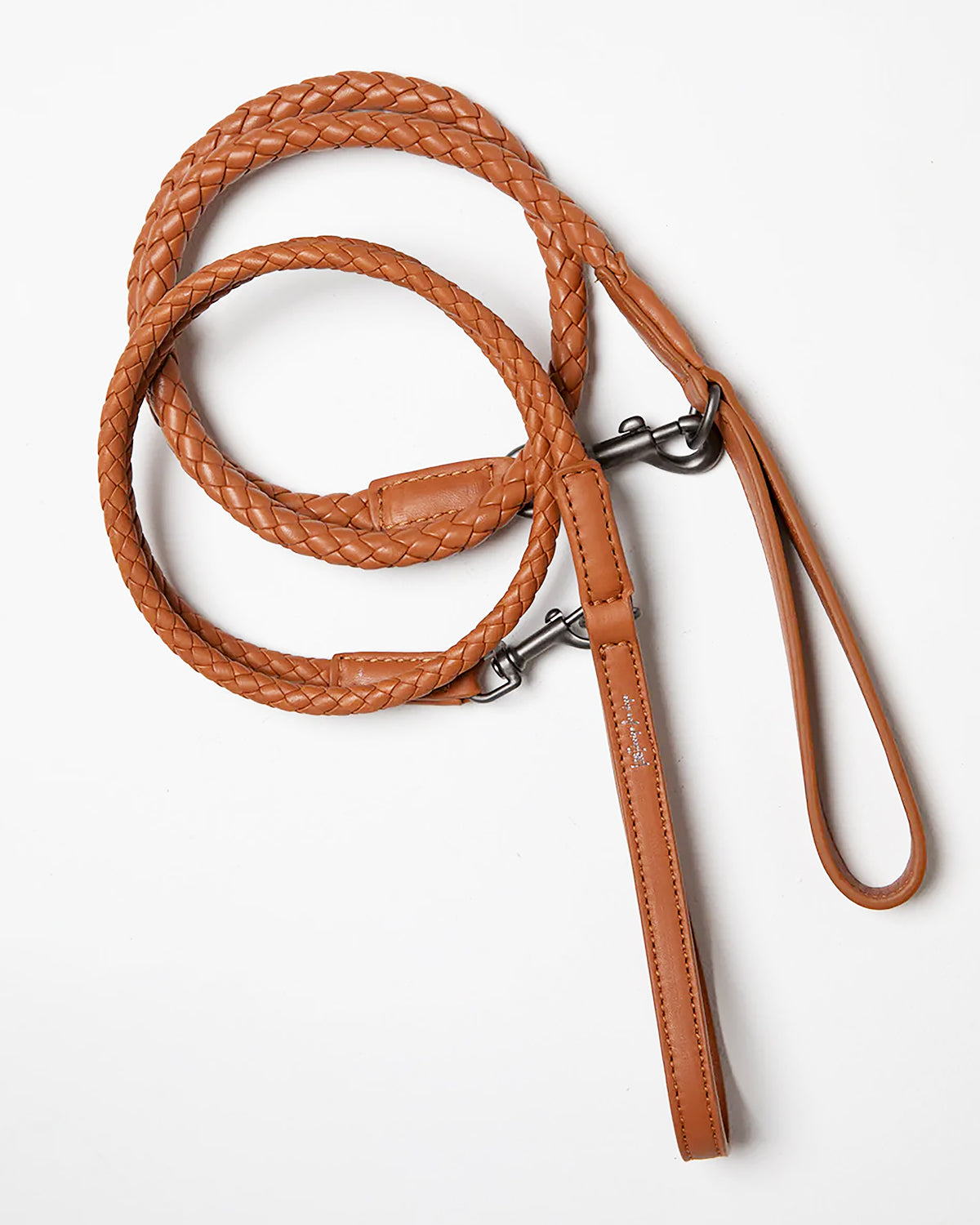 רצועת עור לכלב