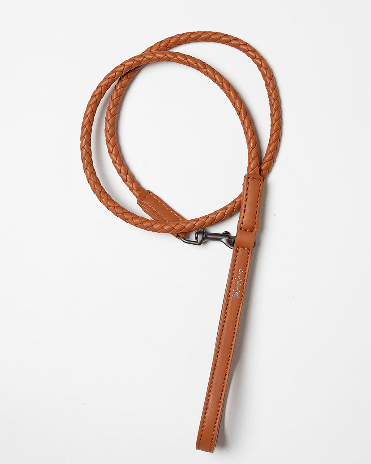 רצועת עור לכלב