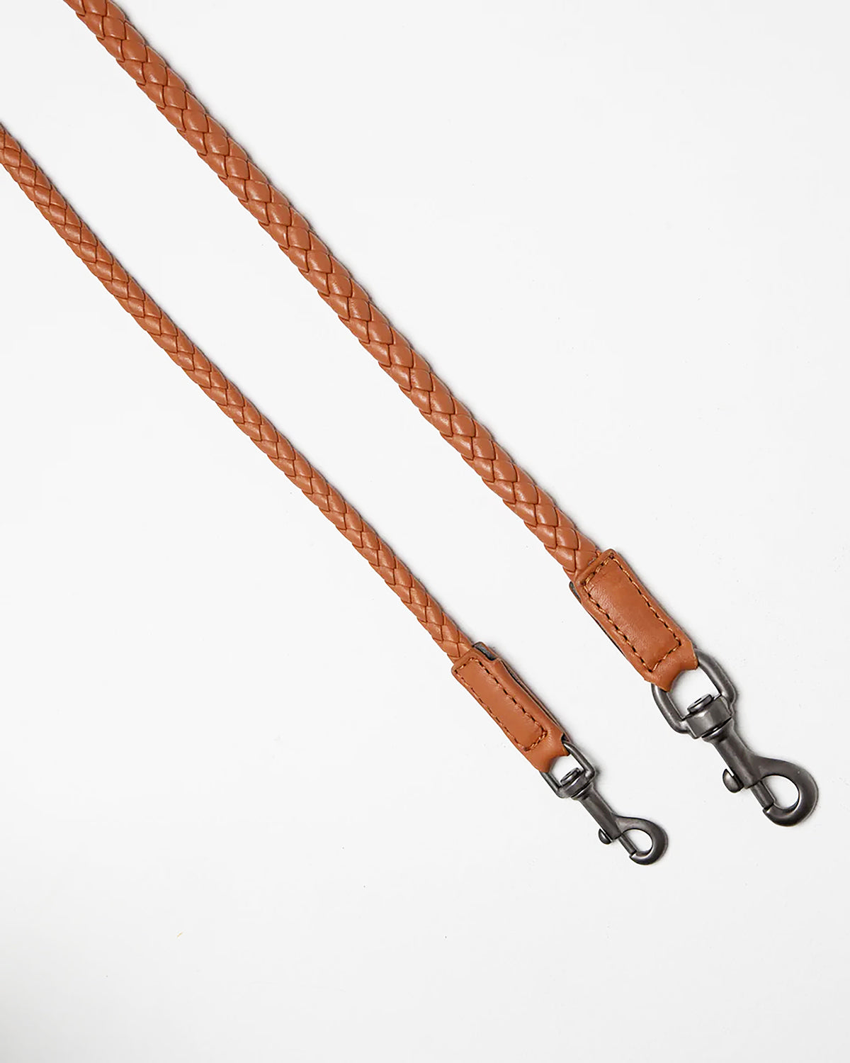 רצועת עור לכלב