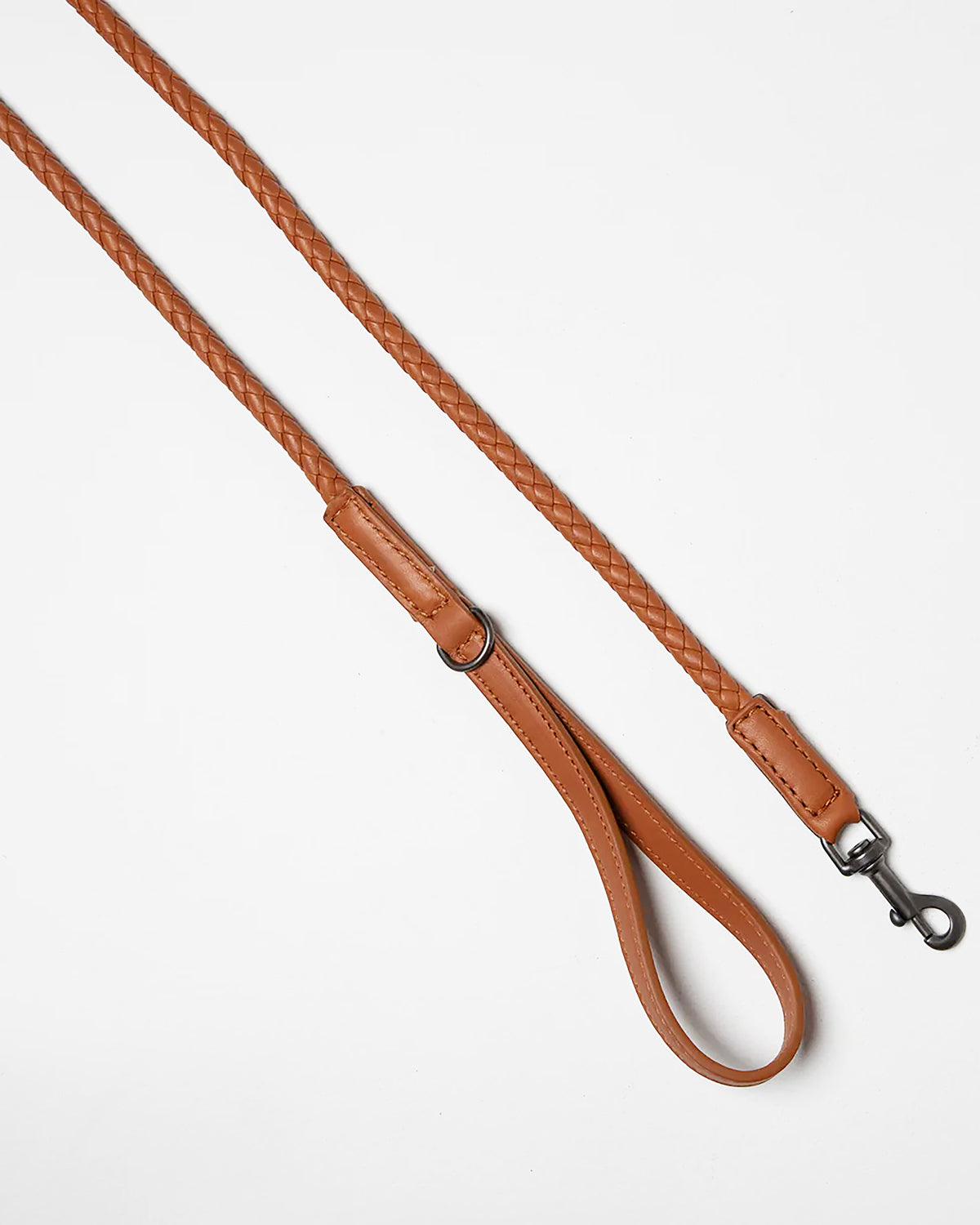 רצועת עור לכלב