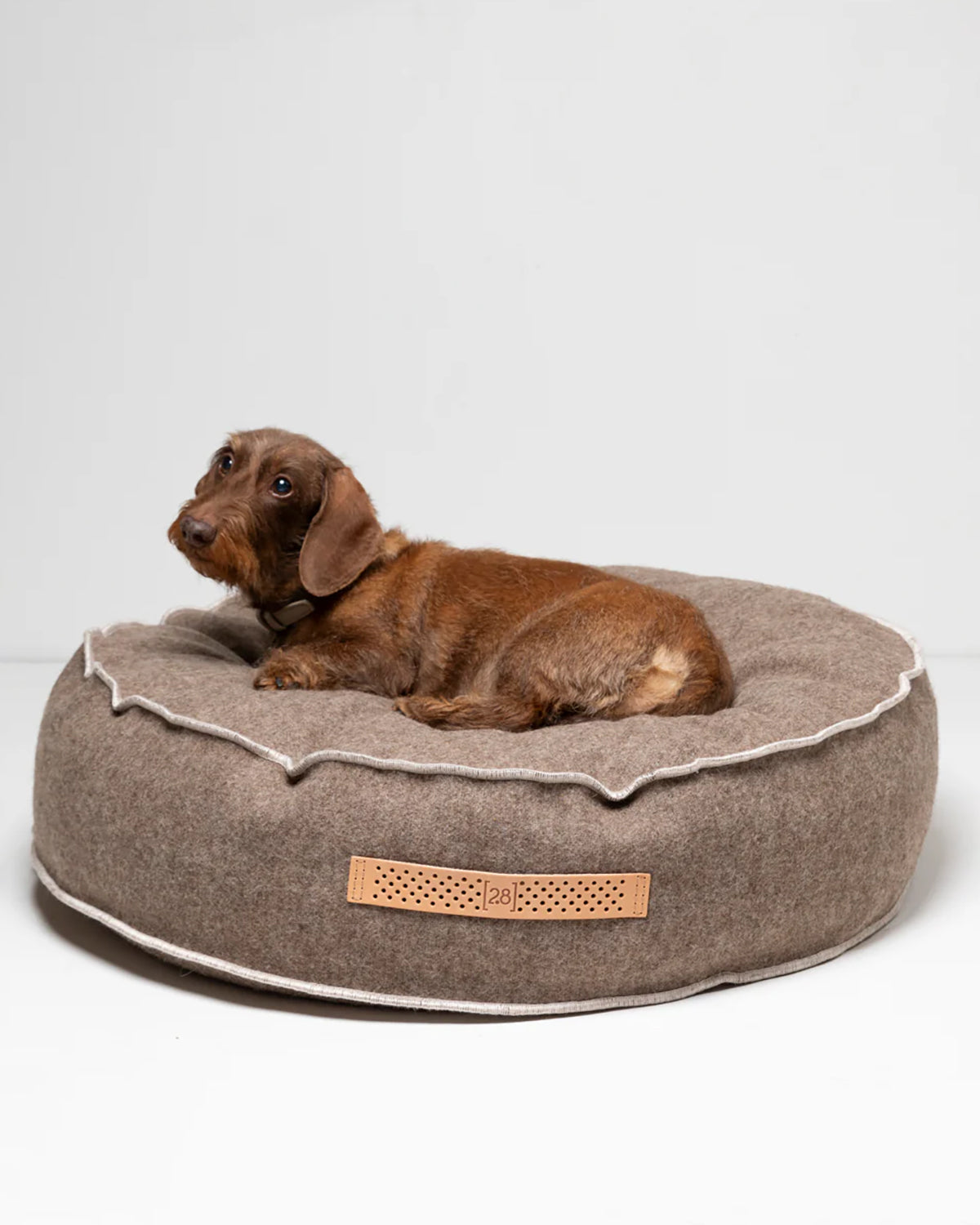 FULVIO RECYCLED WOOL | מיטת פוף לכלב