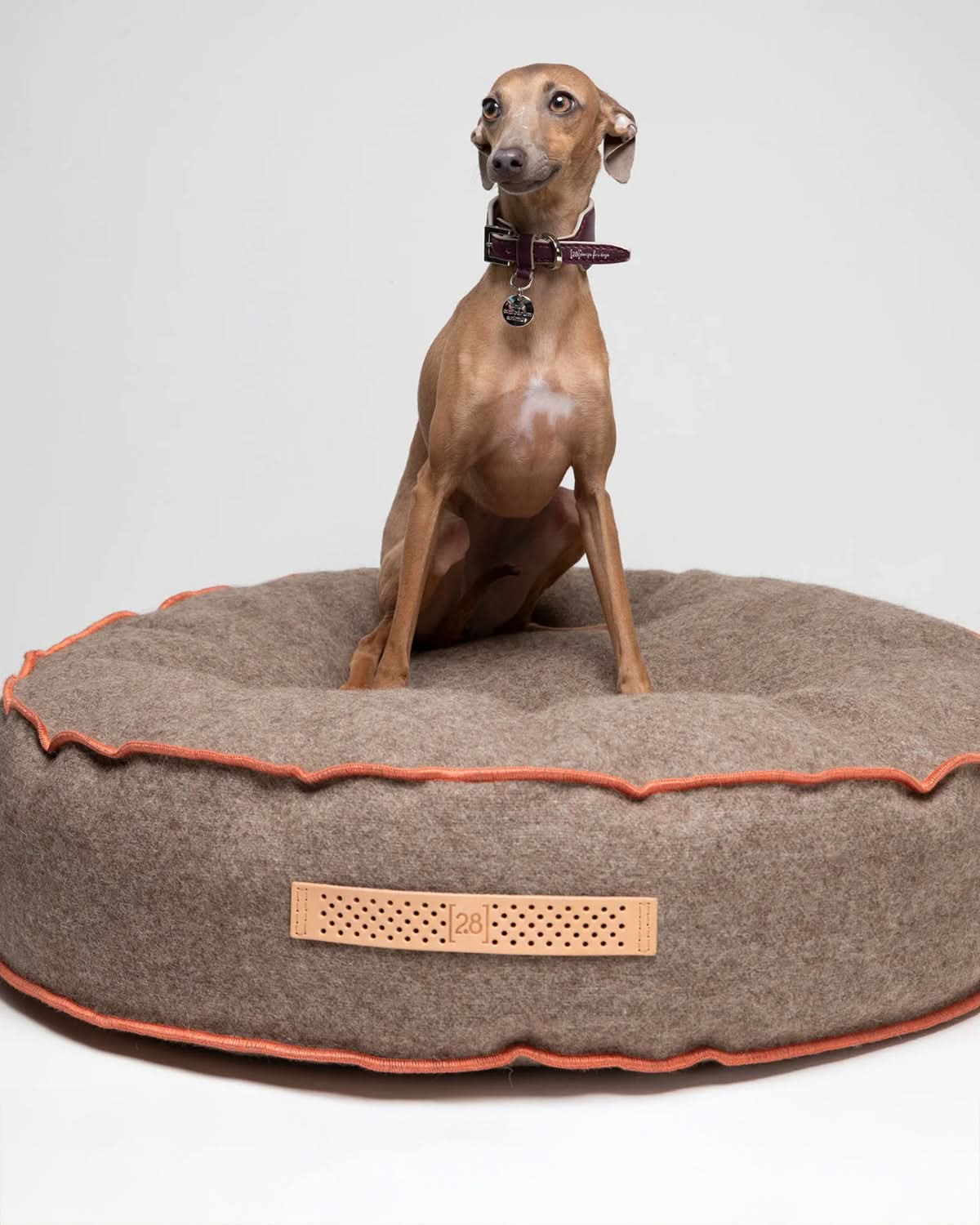 FULVIO RECYCLED WOOL | מיטת פוף לכלב