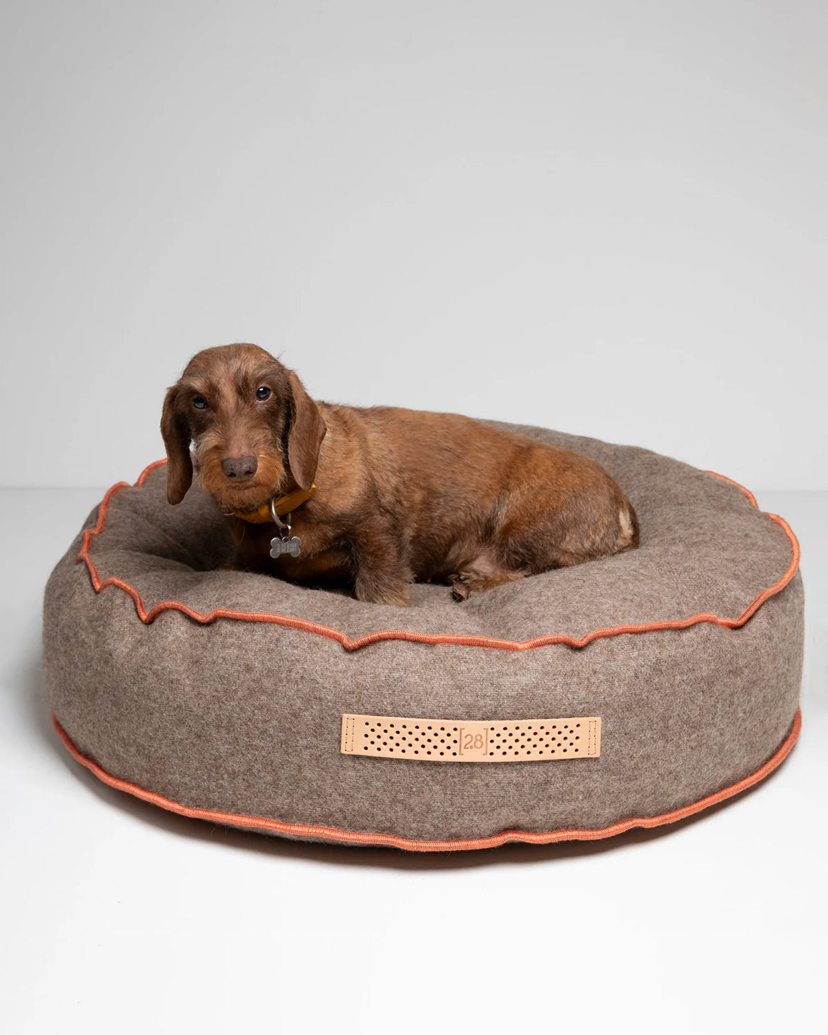 FULVIO RECYCLED WOOL | מיטת פוף לכלב