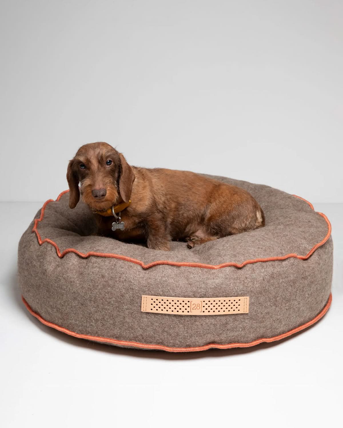 FULVIO RECYCLED WOOL | מיטת פוף לכלב