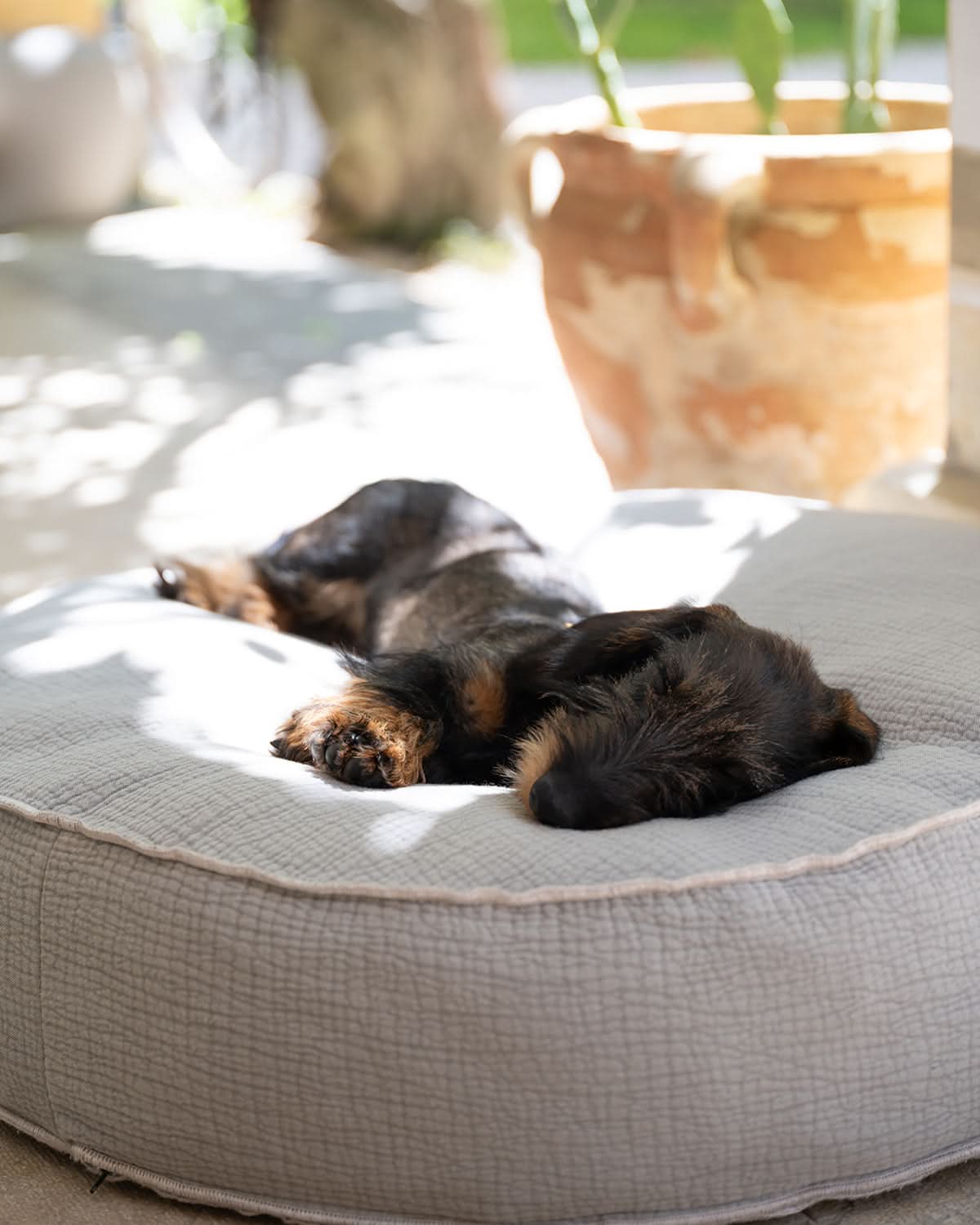 FULVIO ELEPHANT COTTON | מיטת פוף לכלב