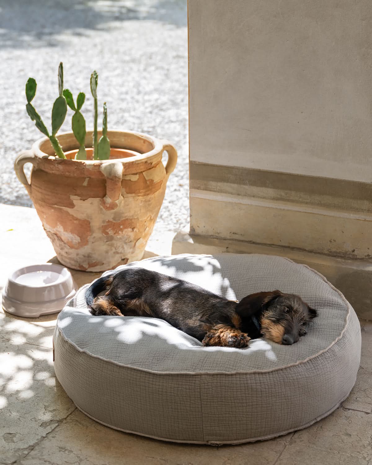 FULVIO ELEPHANT COTTON | מיטת פוף לכלב