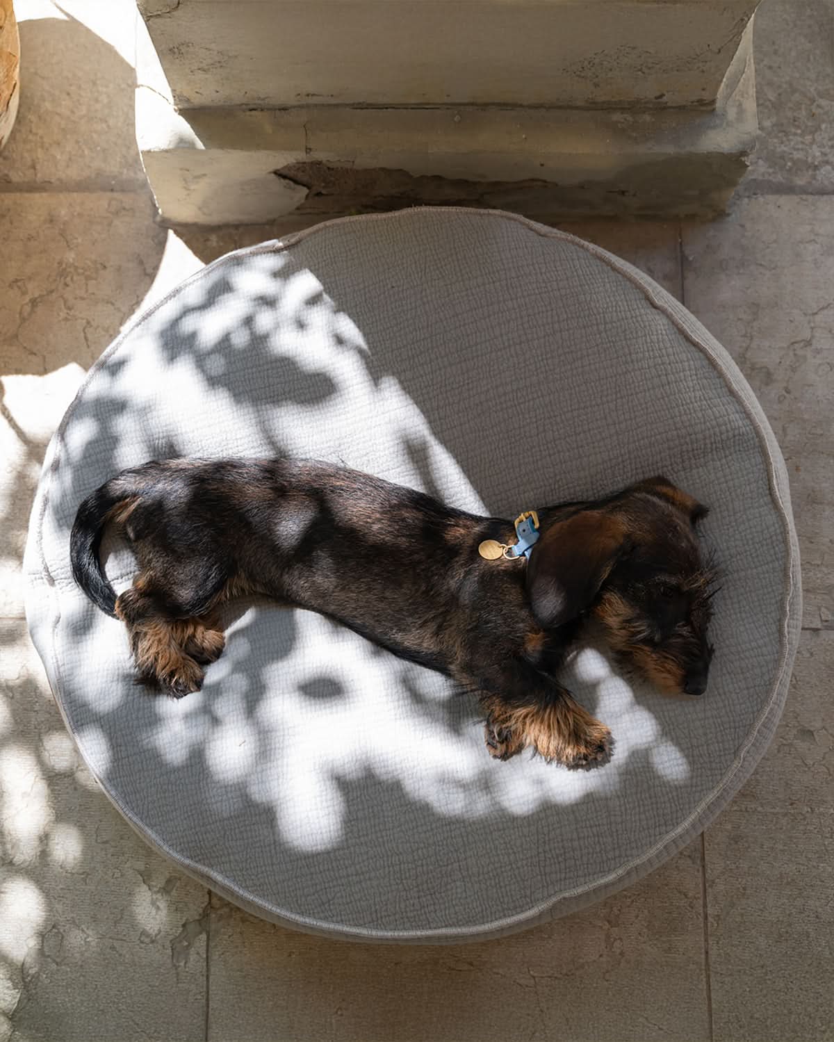 FULVIO ELEPHANT COTTON | מיטת פוף לכלב