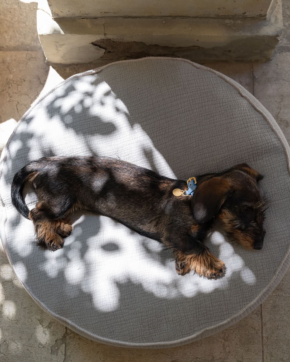 FULVIO ELEPHANT COTTON | מיטת פוף לכלב