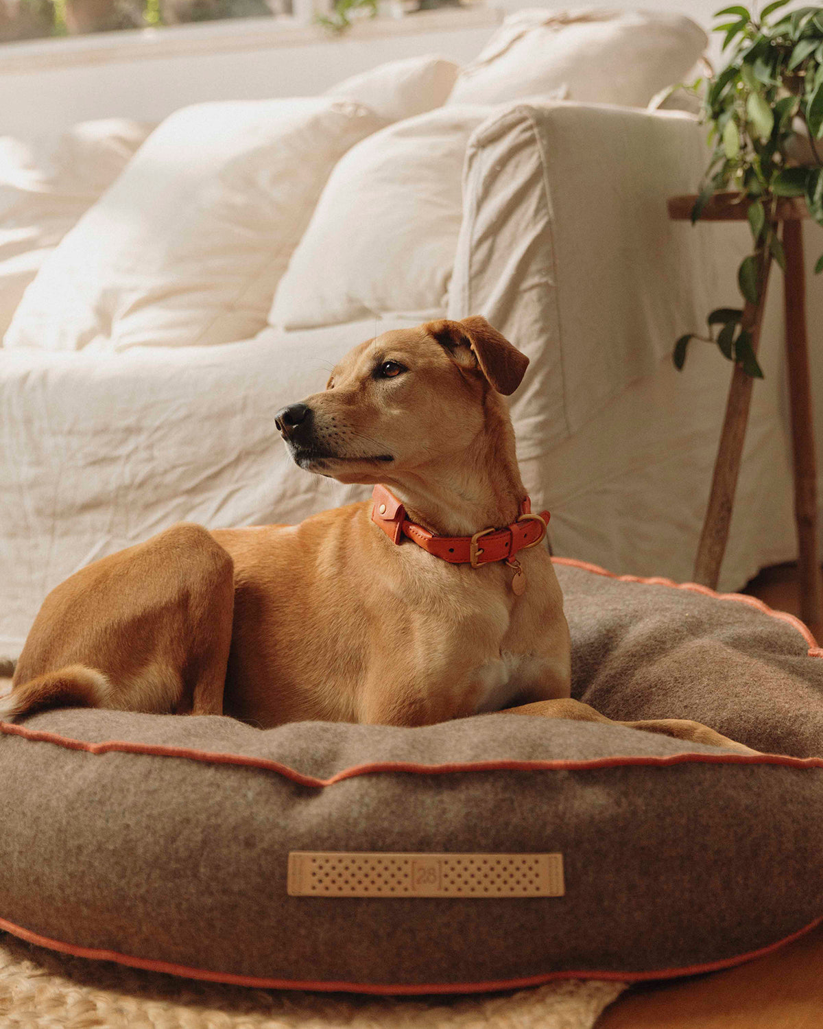 FULVIO RECYCLED WOOL | מיטת פוף לכלב