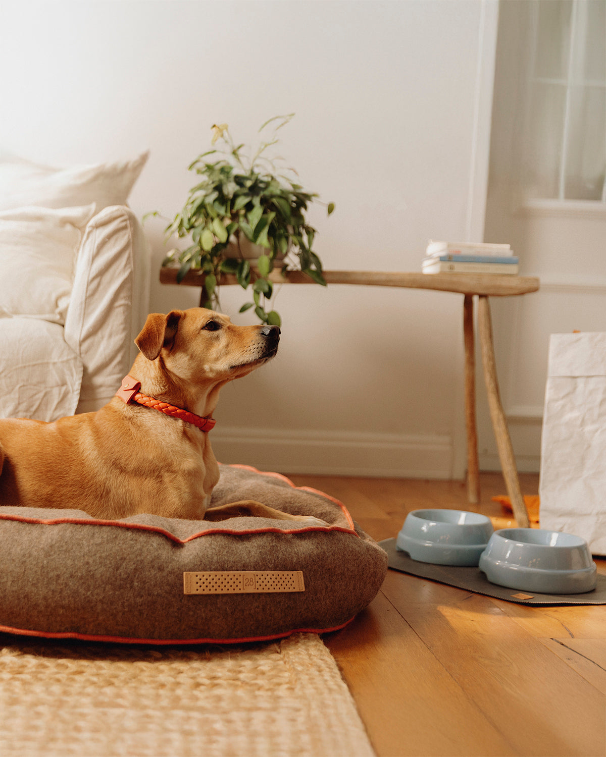 דייוויד טבעוני עור לכלב PLACEMAT | פלייסמט לקרות לכלבים