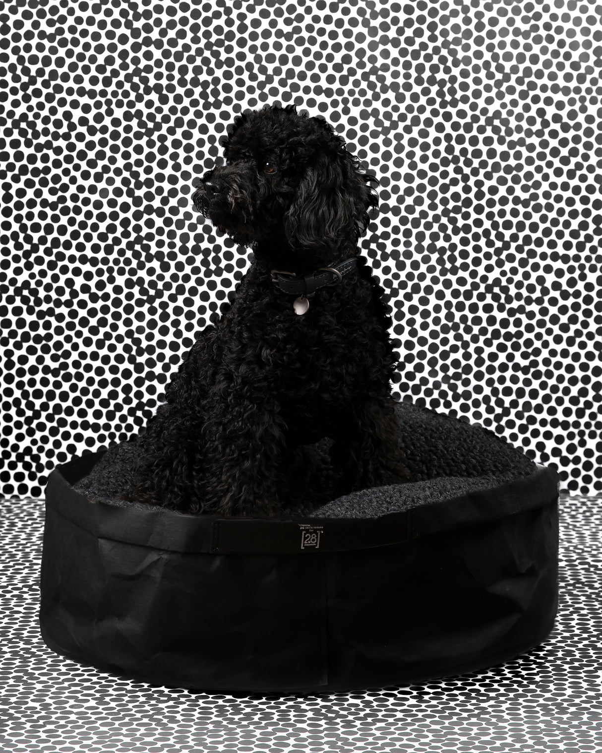 IRVING DOTTO COLLECTION DOG & CAT BED | מיטה לכלבים ולחתולים