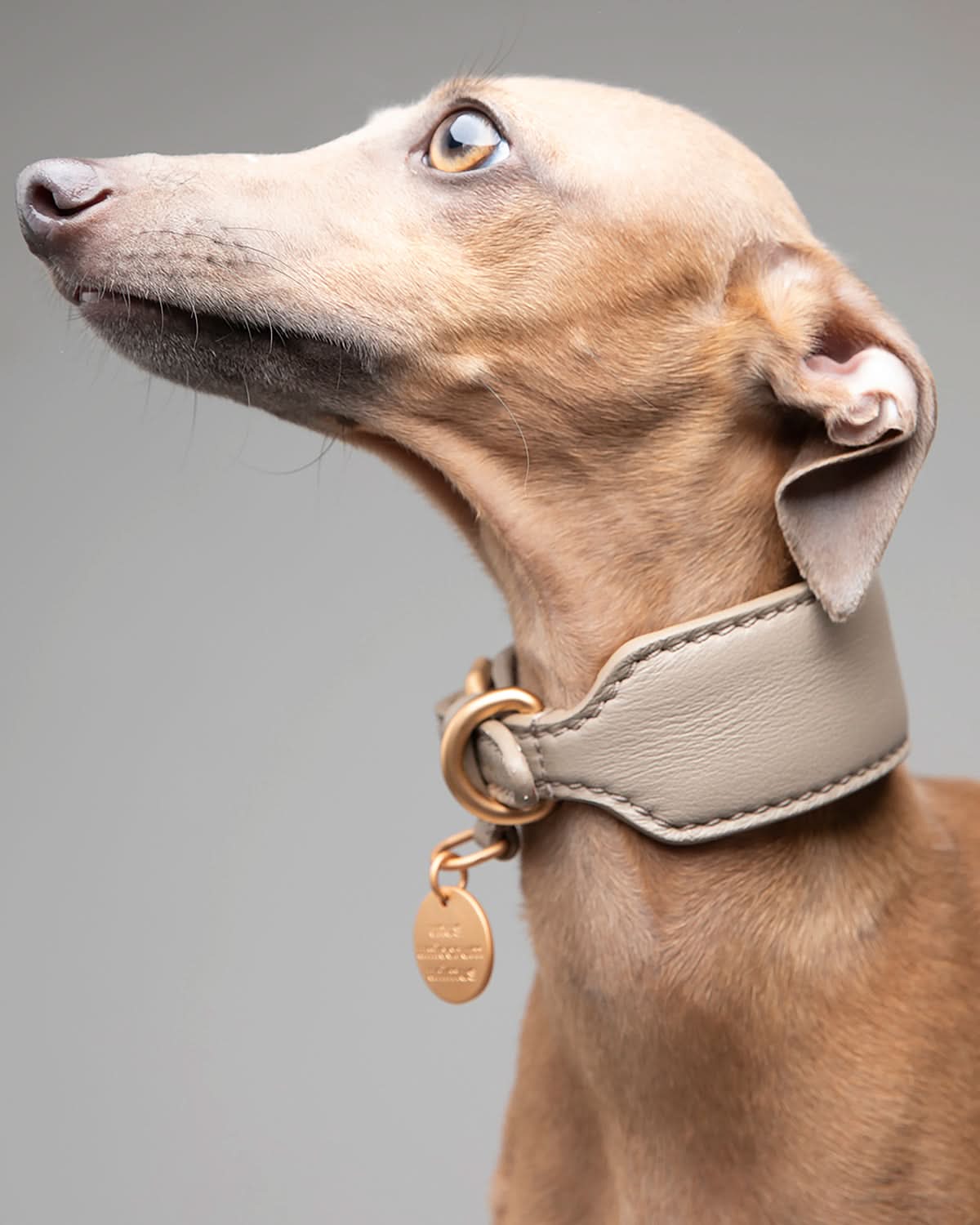 MARIO WIDE LEATHER COLLAR | קולר עור נאפה רחב לכלב