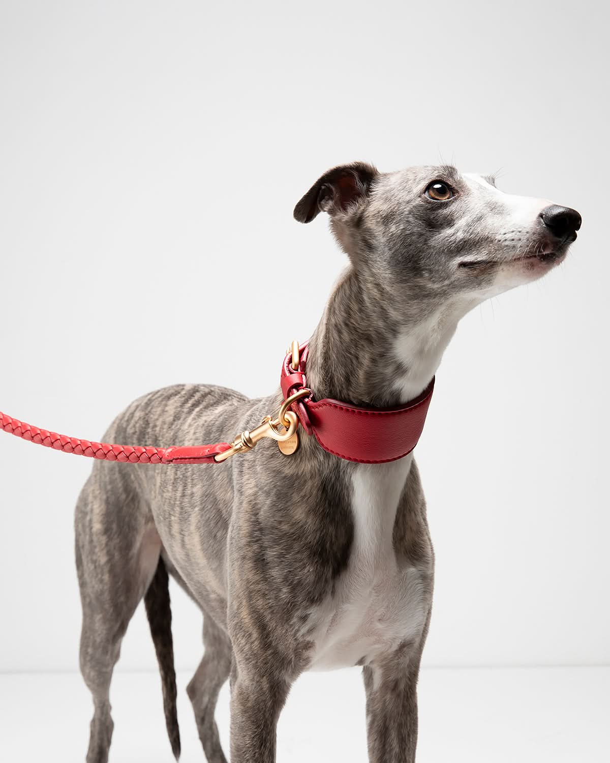 FERDINANDO NAPPA LEATHER LEASH | רצועת עור נאפה לכלב