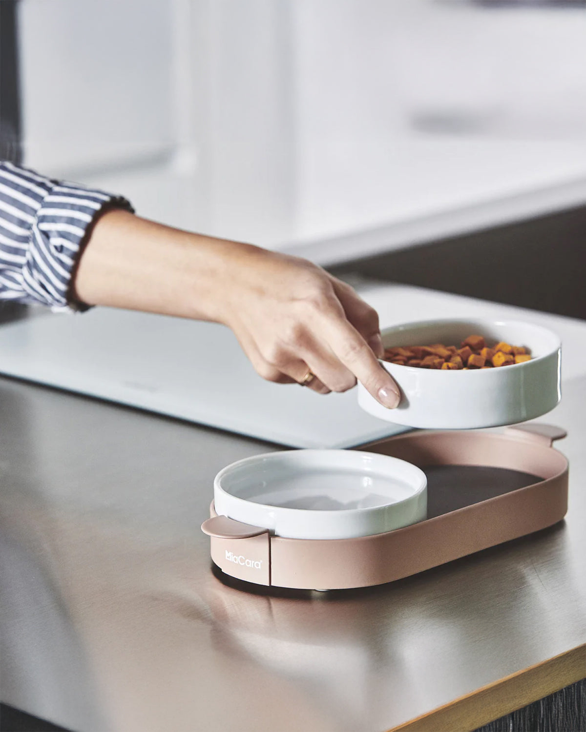 סט קערות לחתול וכלב