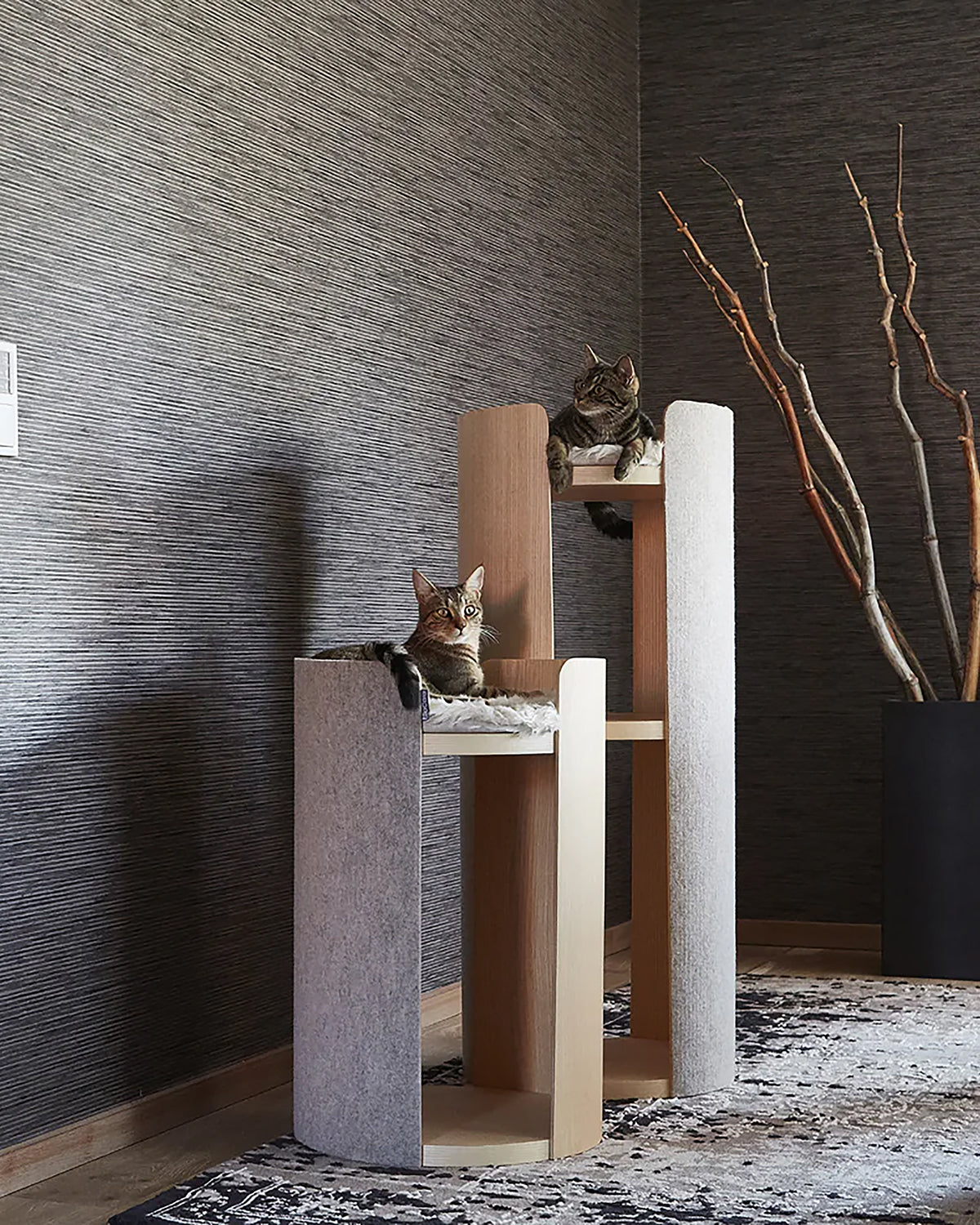 TORRE CLIMBING & SCRATCHING CAT POST | מגדל טיפוס וגירוד לחתולים