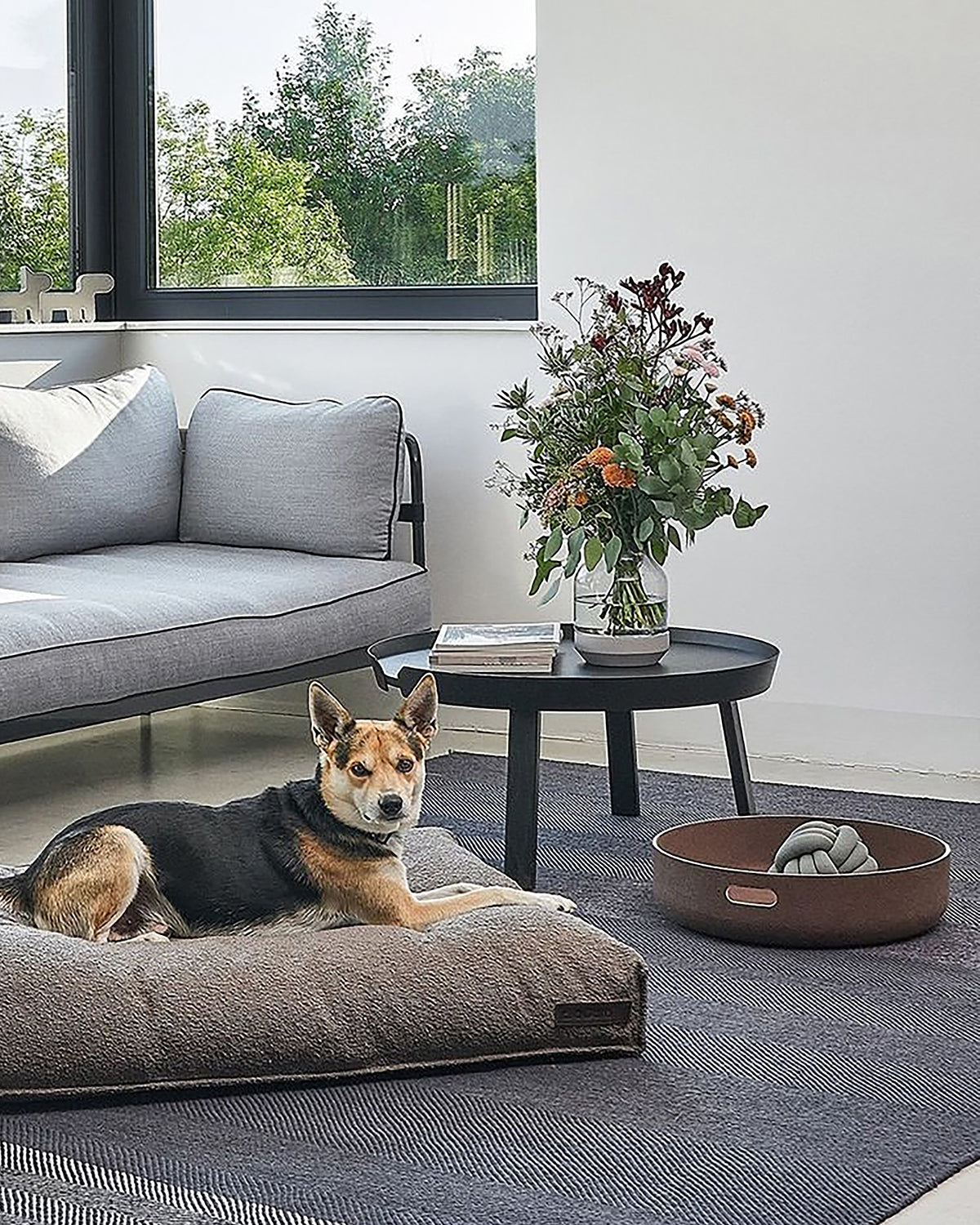 סלסלת צעצועים לכלבים