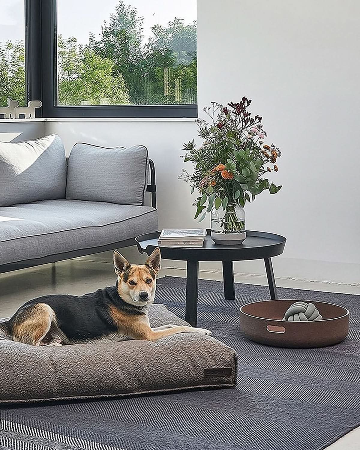 סלסלת צעצועים לכלבים