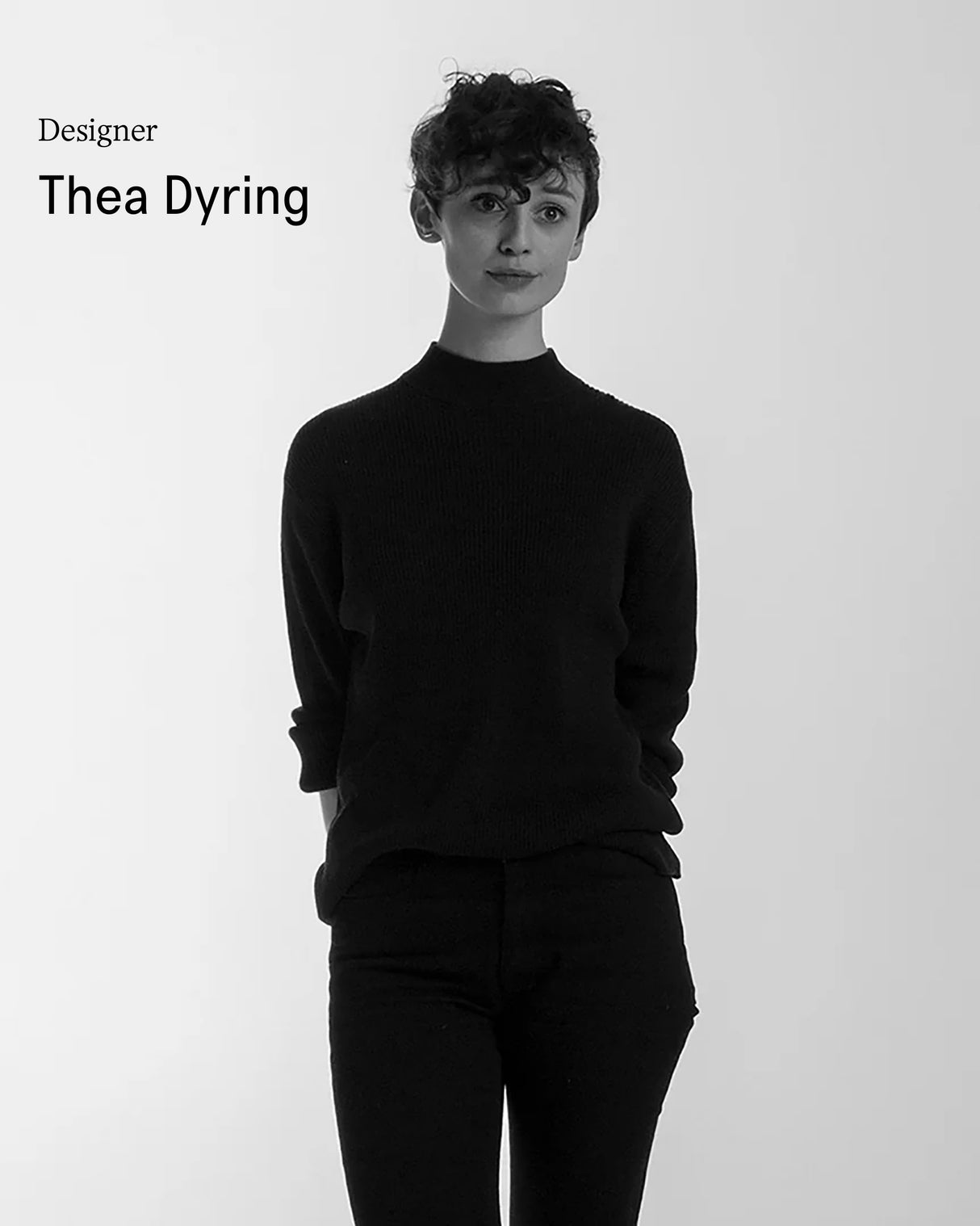 Siena Padded Leather Collar | קולר עור מרופד לכלב