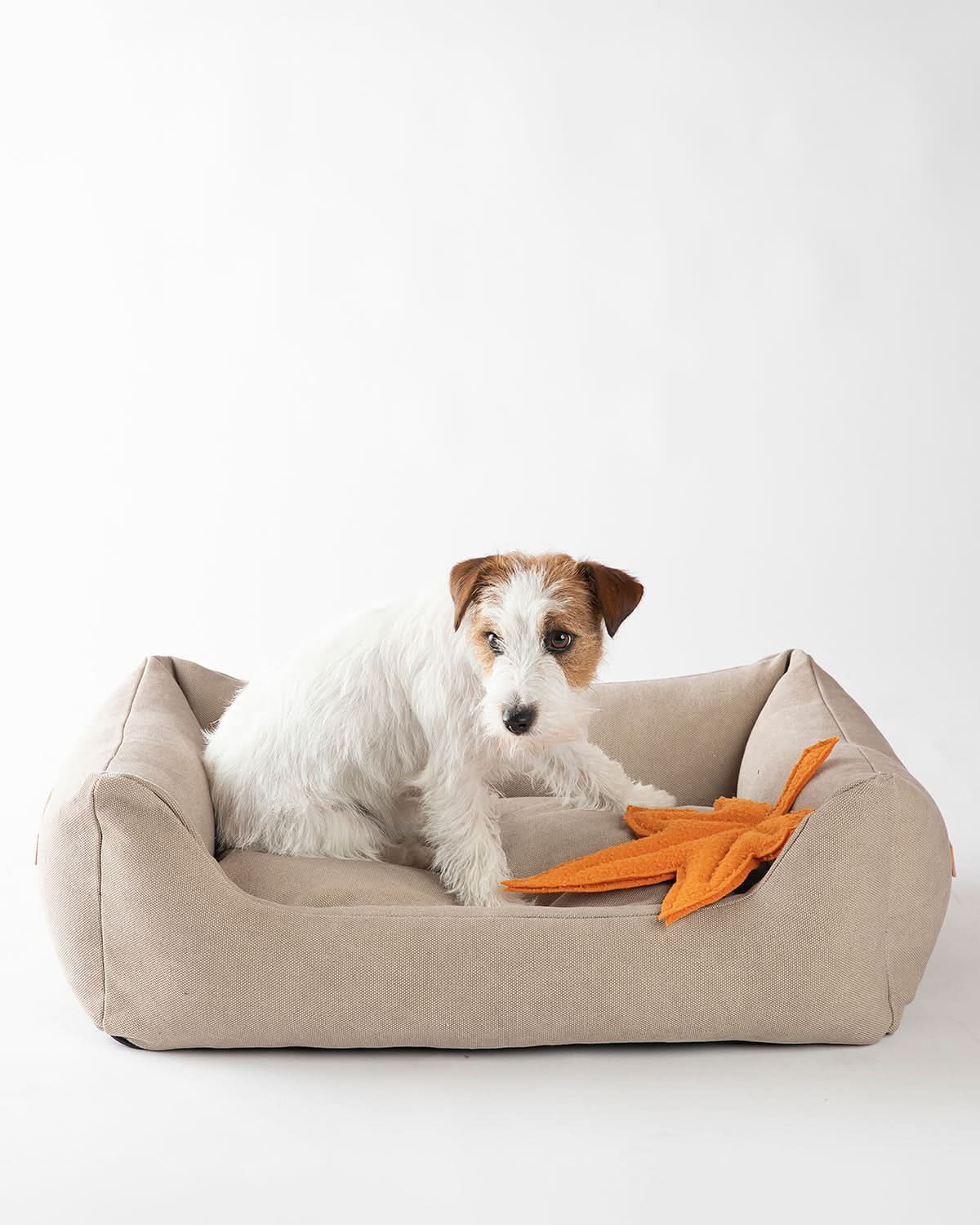 HENRI ORGANIC COTTON DOG BED | מיטה לכלב