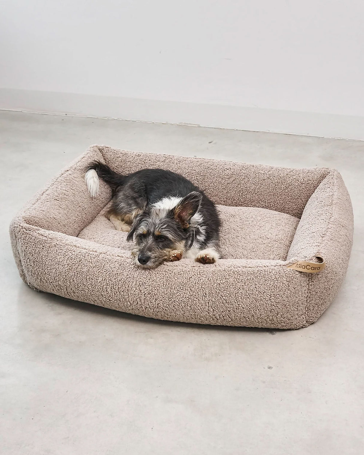 מיטה אורתופדית לכלב | SENSO DOG BOX BED