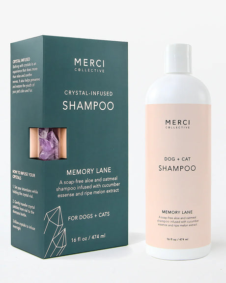 שמפו לכלב, שמפו לחתול