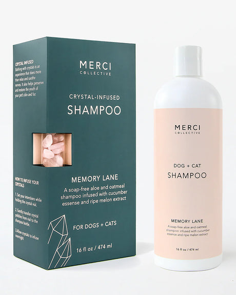 שמפו לכלב, שמפו לחתול