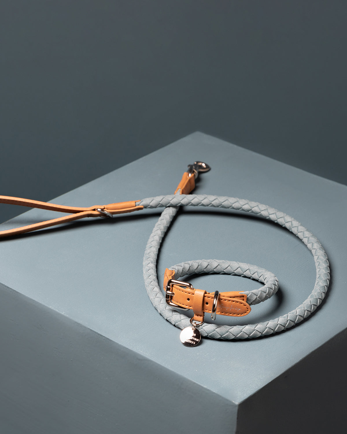 רצועת עור טבעוני לכלב