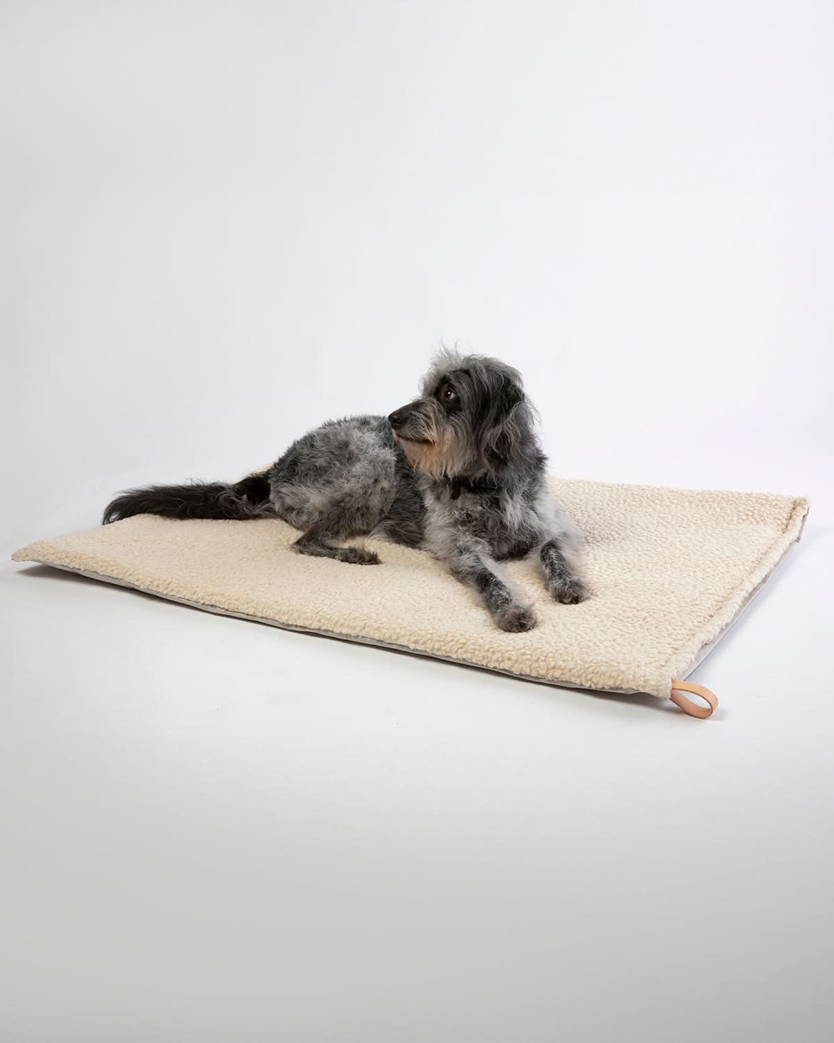 RICHARD SLIM DOG CUSHION | כרית לכלב