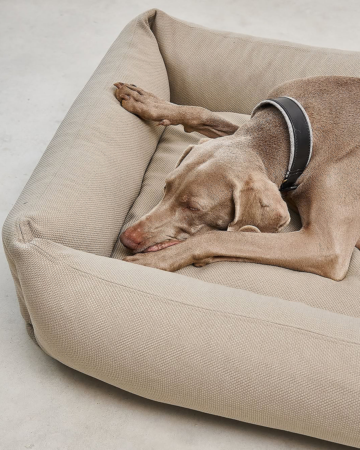 SONNO DOG BOX BED | מיטה אורתופדית לכלב