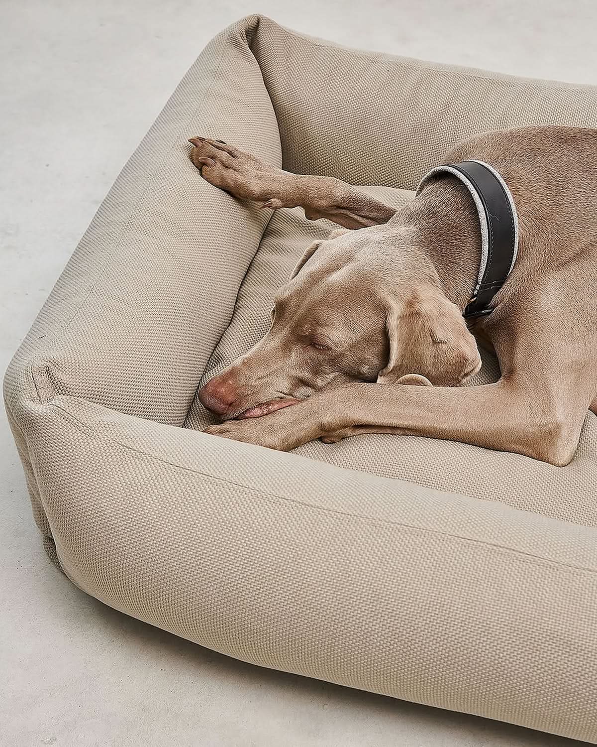 SONNO DOG BOX BED | מיטה אורתופדית לכלב