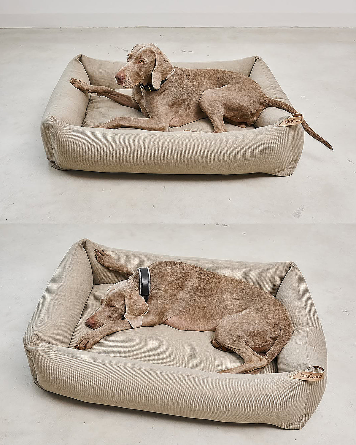 SONNO DOG BOX BED | מיטה אורתופדית לכלב