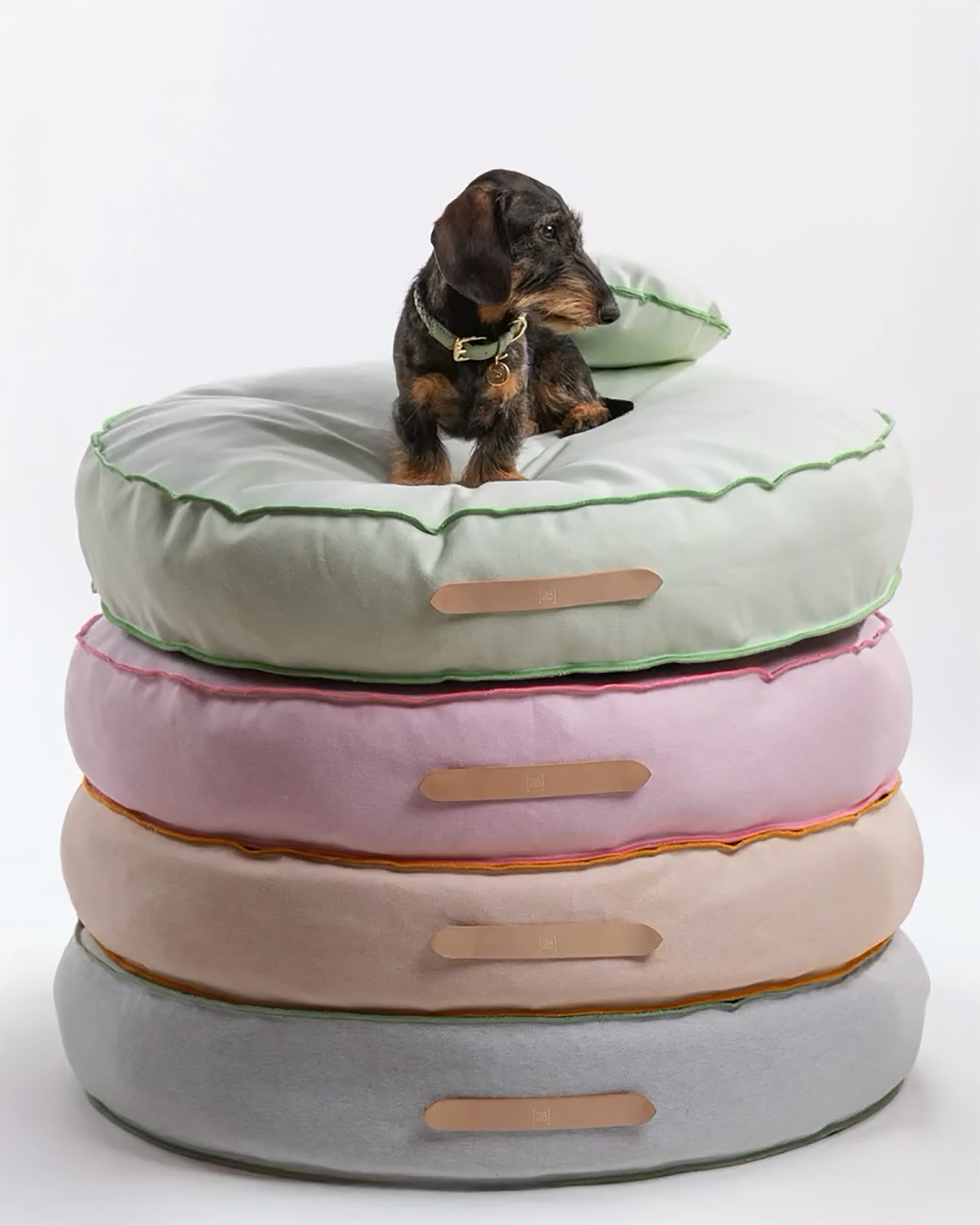 ืืืืช ืคืืฃ ืืืื ืืืืชื ืช Duck ืืืืืงืืช | FULVIO DOG BED