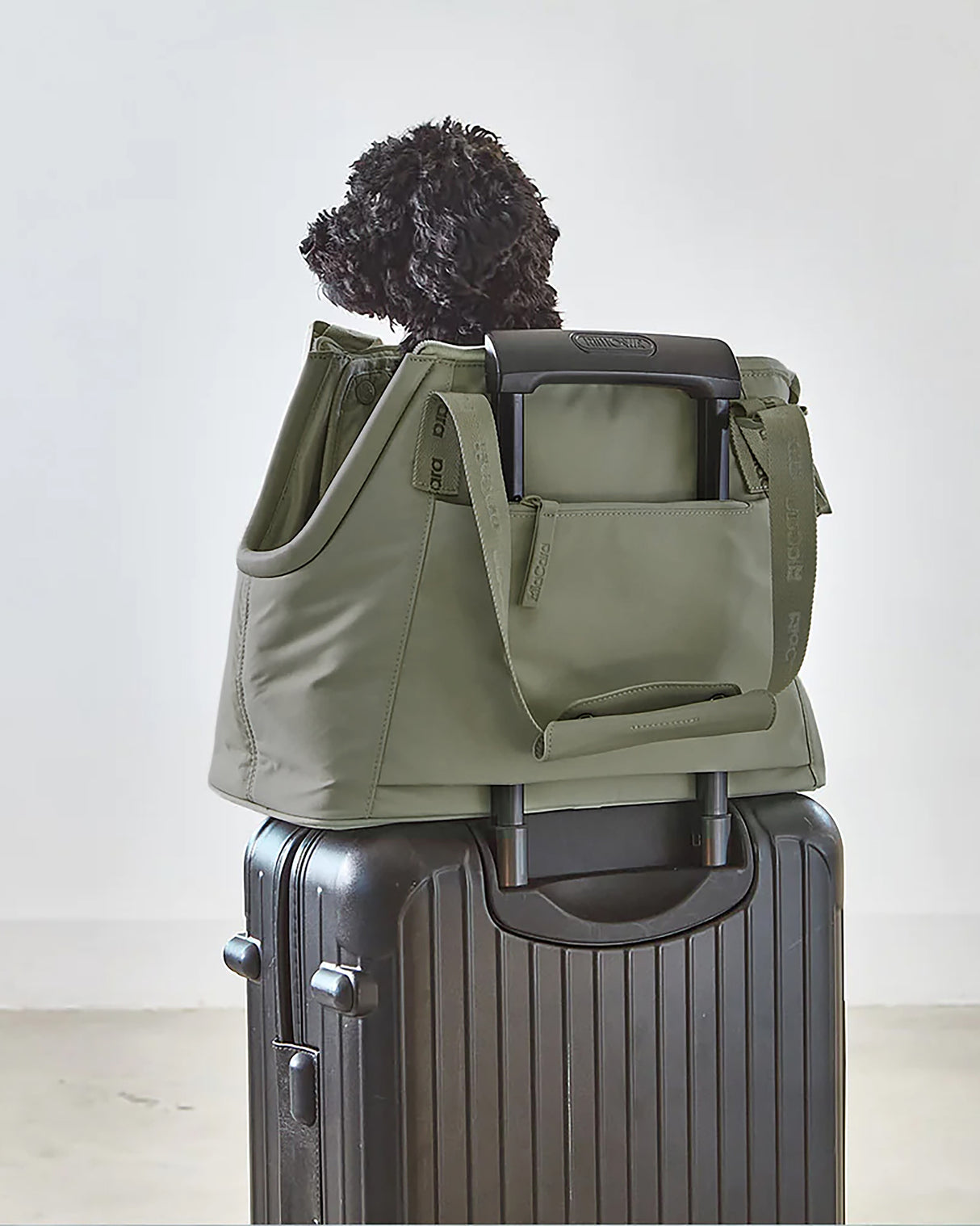 SPORTA DOG CARRIER BAG | תיק נשיאה לכלב