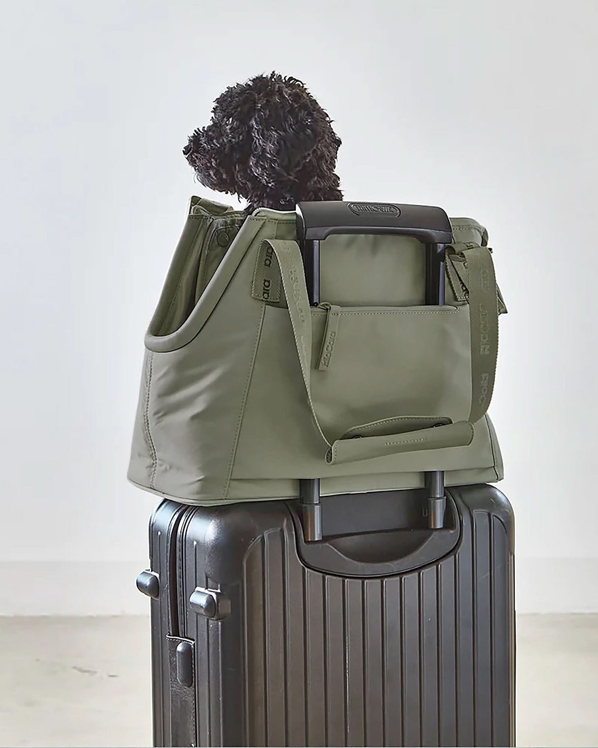 תיק נשיאה אלגנטי לכלב | SPORTA DOG CARRIER BAG