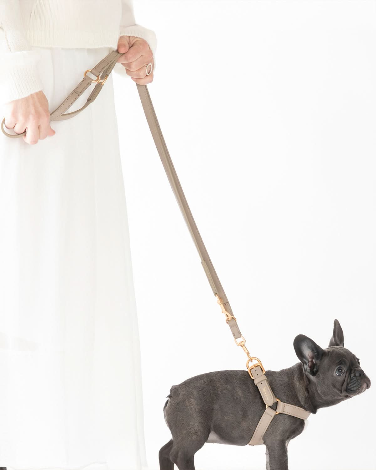 רצועת מתכווננת לכלב מעור נאפה איטלקי | MARIO ADJUSTABLE LEATHER LEASH