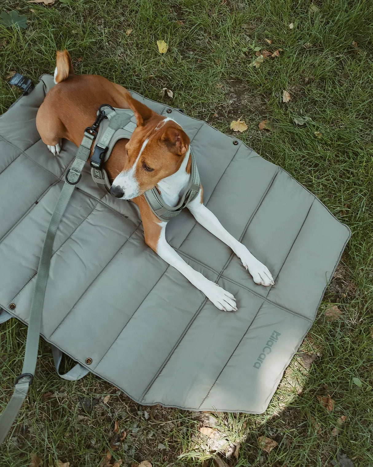 STRADA DOG TRAVEL MAT | מזרן טיולים מתקפל לכלב