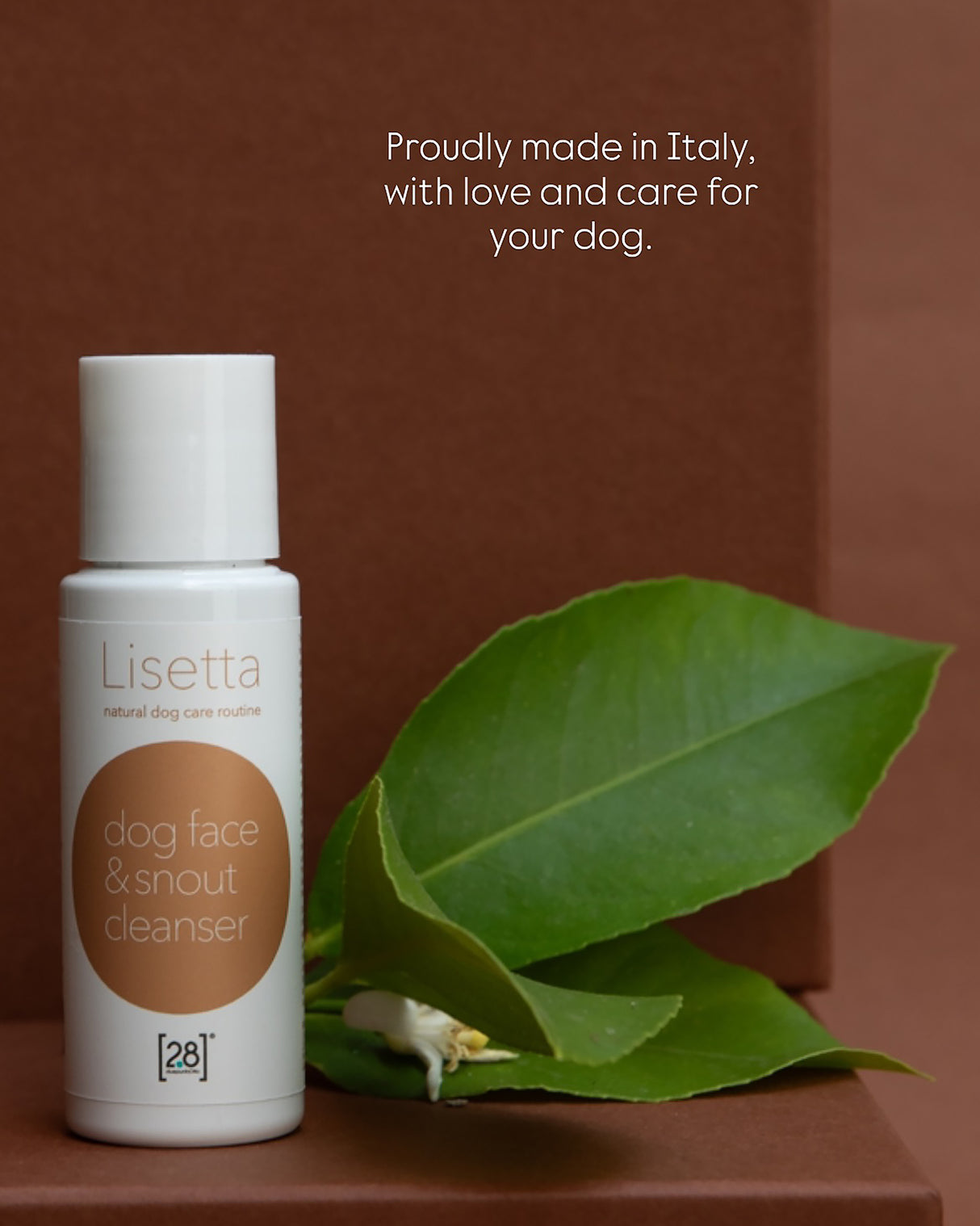 LISETTA CARE KIT | ערכת טיפוח לכלב