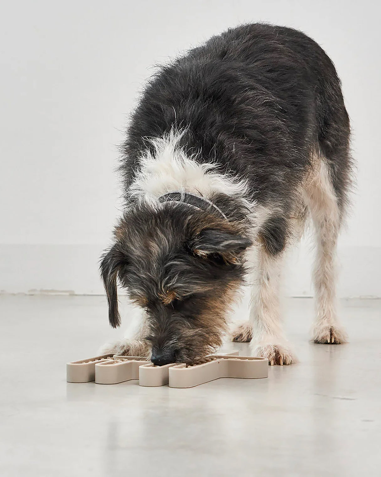 CERVO LICKING MAT | משטח ליקוק לכלב