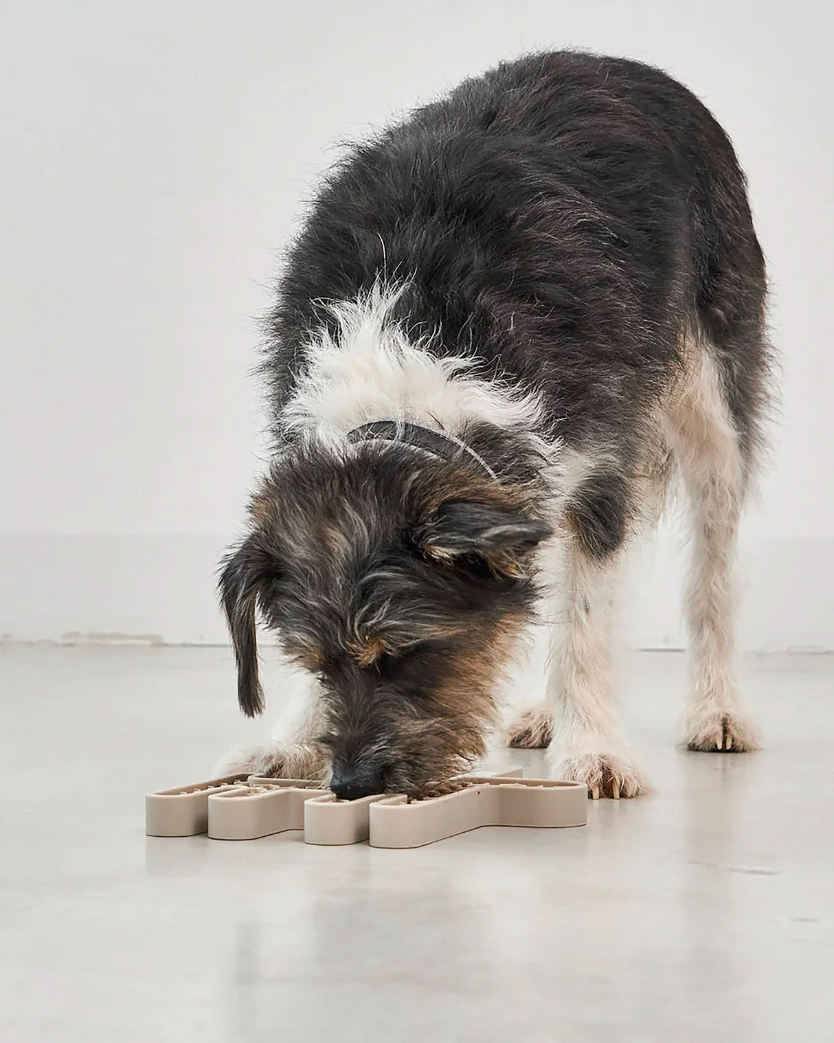 CERVO LICKING MAT | משטח ליקוק לכלב