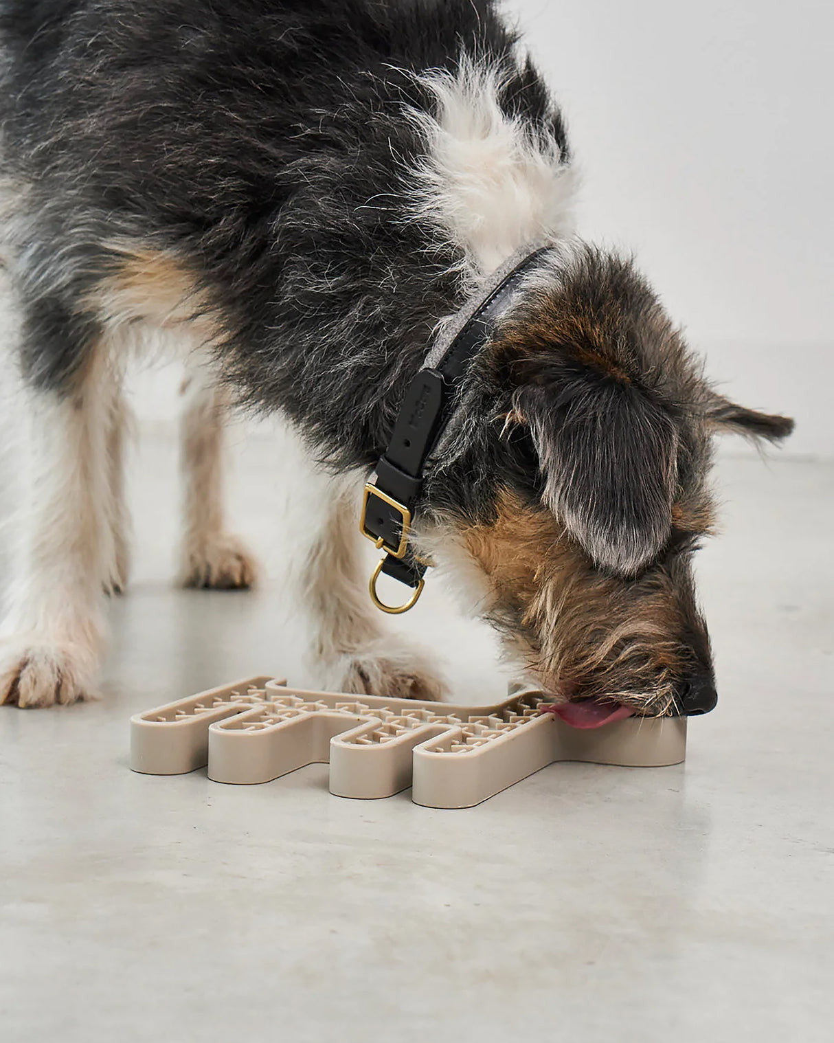 CERVO LICKING MAT | משטח ליקוק לכלב