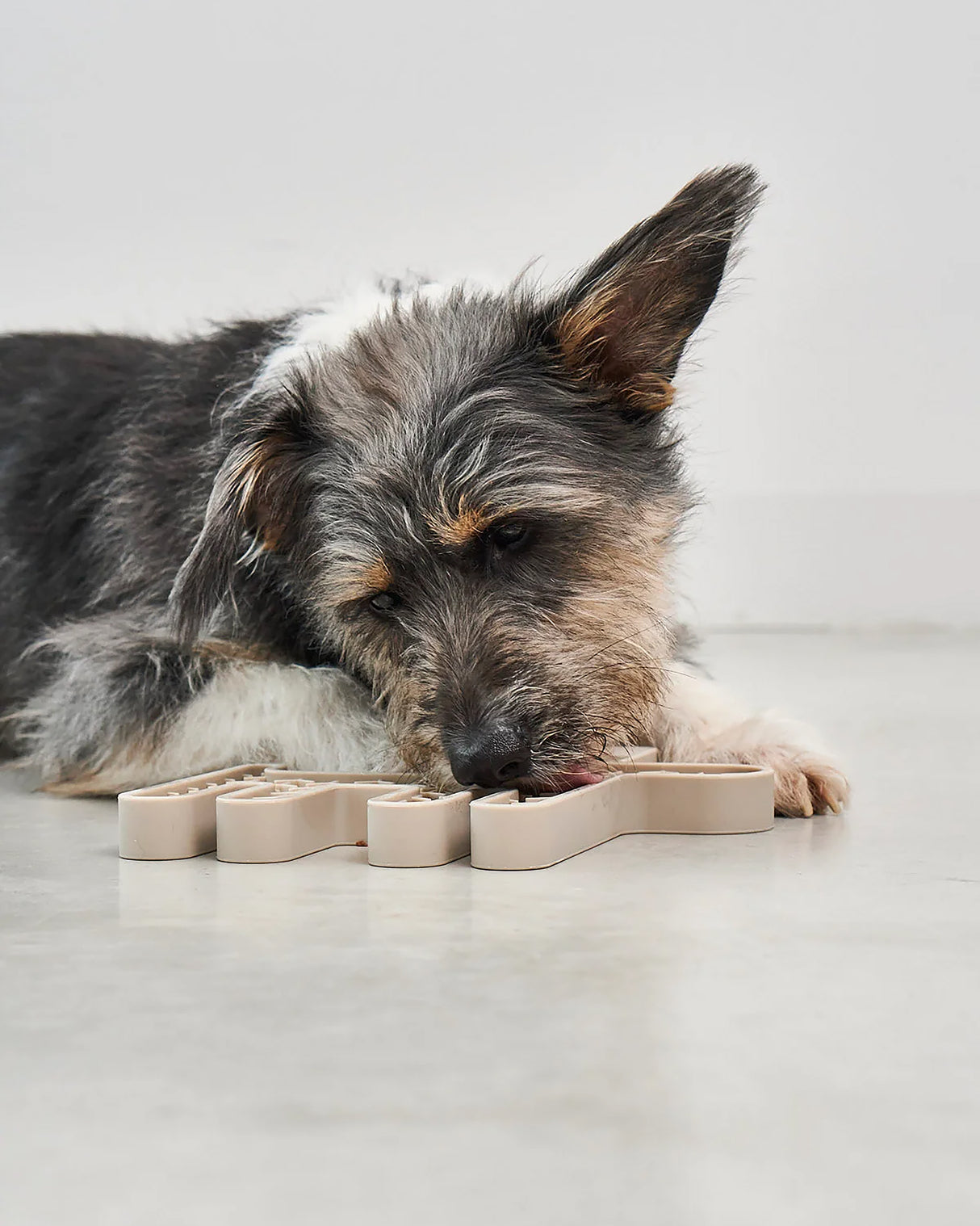 CERVO LICKING MAT | משטח ליקוק לכלב
