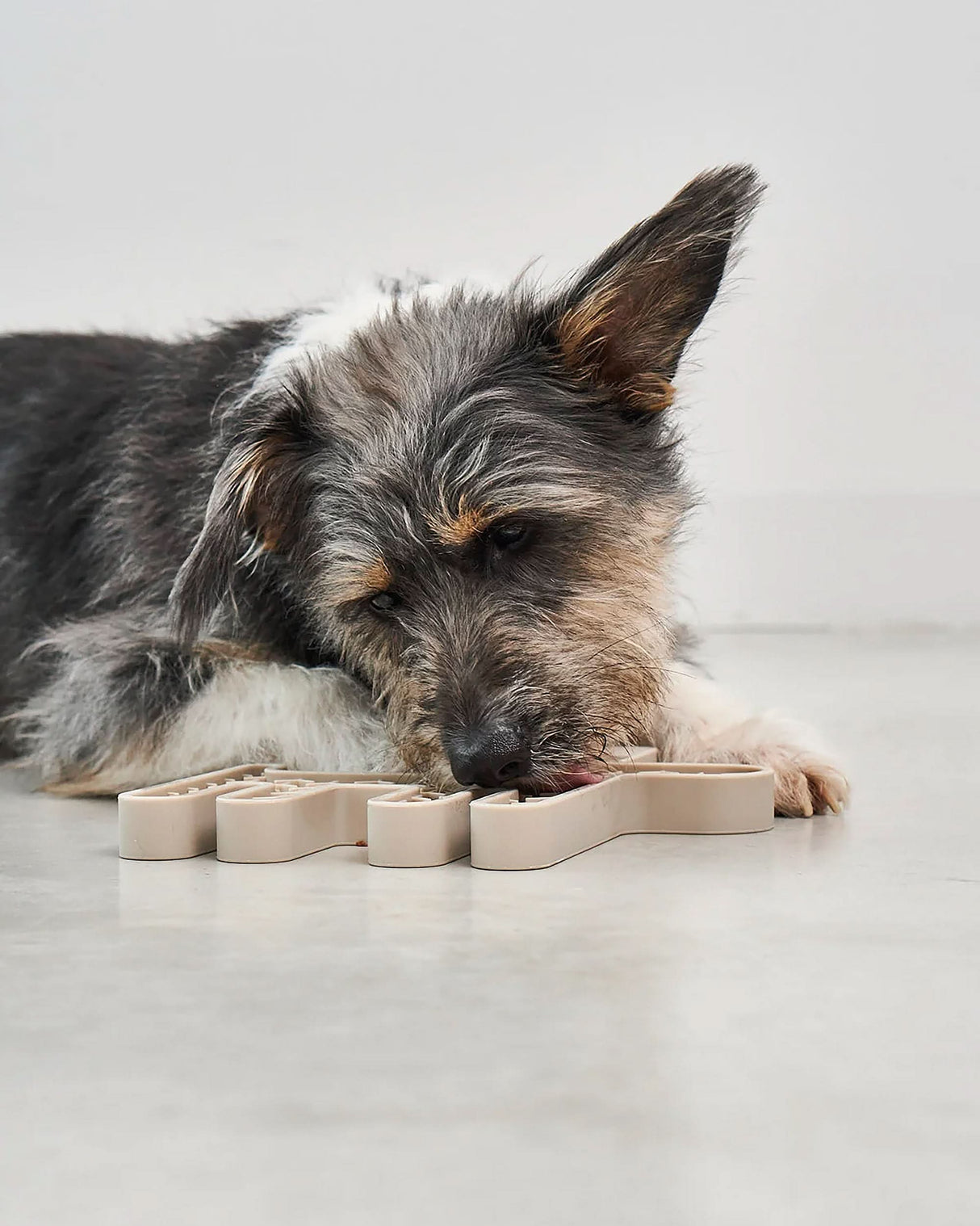 CERVO LICKING MAT | משטח ליקוק לכלב