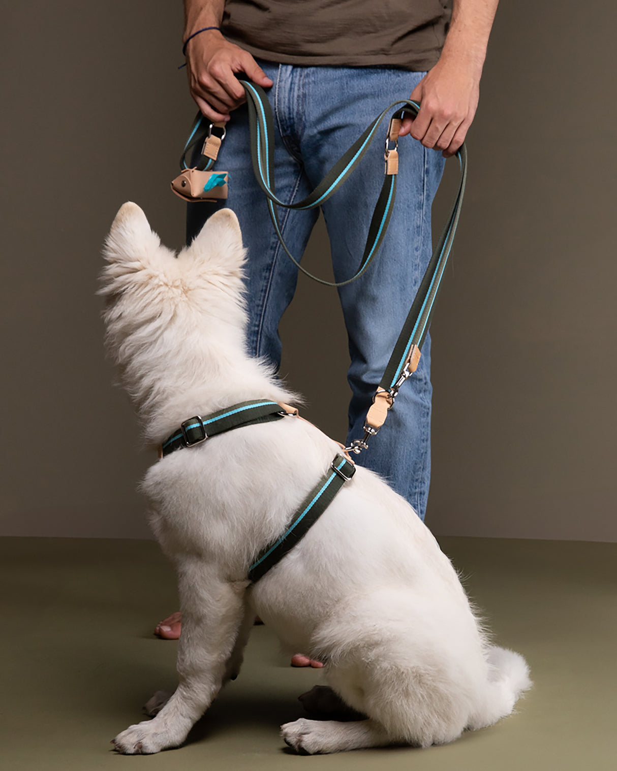 GERDA POOP BAG HOLDER | נרתיק שקיות איסוף מעור