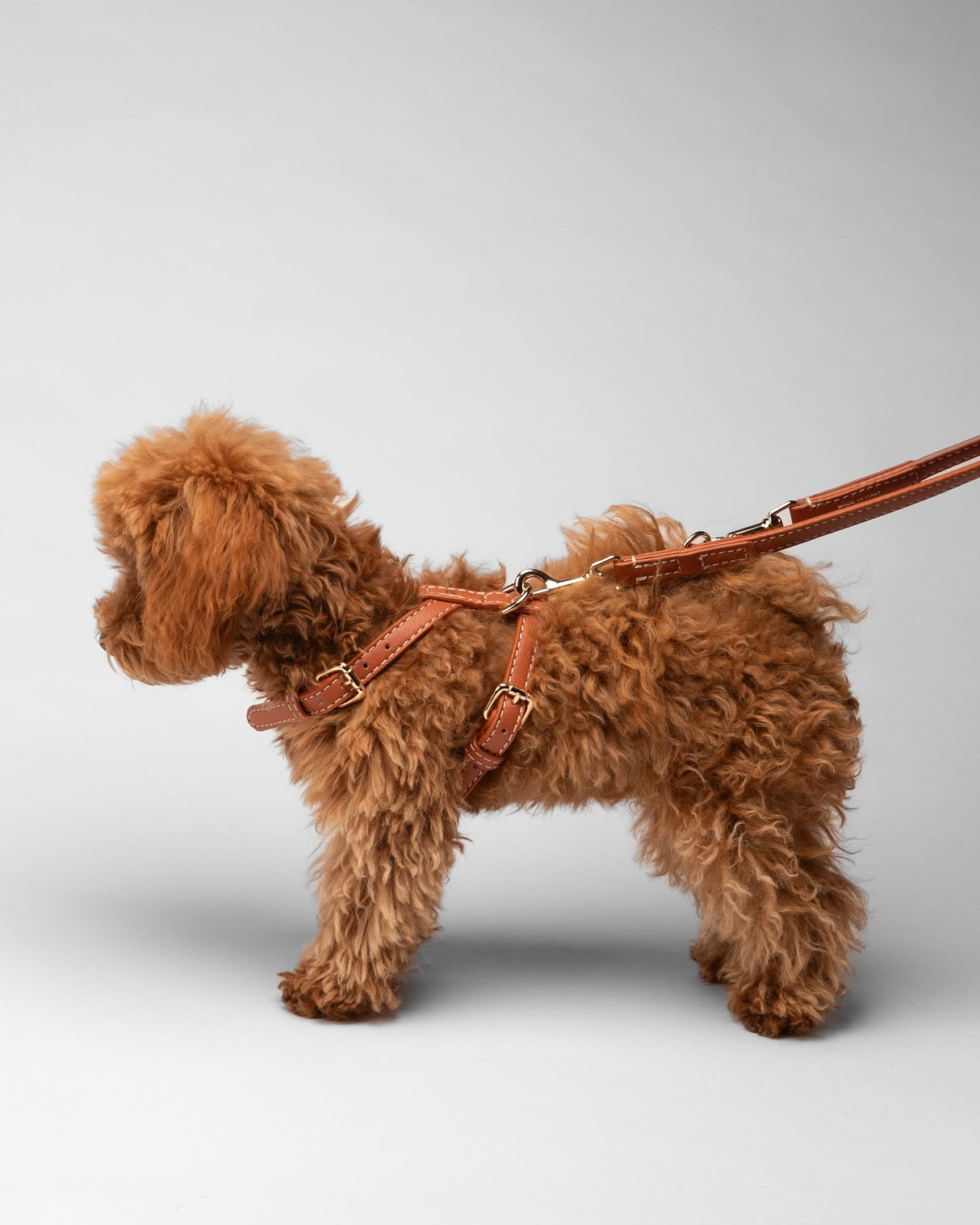 GABRIELE FREE-HANDS LONG LEATHER DOG LEASH | רצועת עור ארוכה ומתכווננת לכלבים