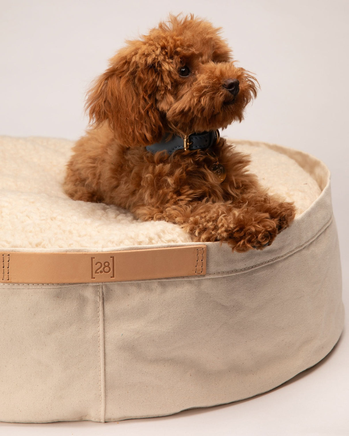 IRVING COTTON DRILL DOG & CAT BED | מיטה לכלבים ולחתולים