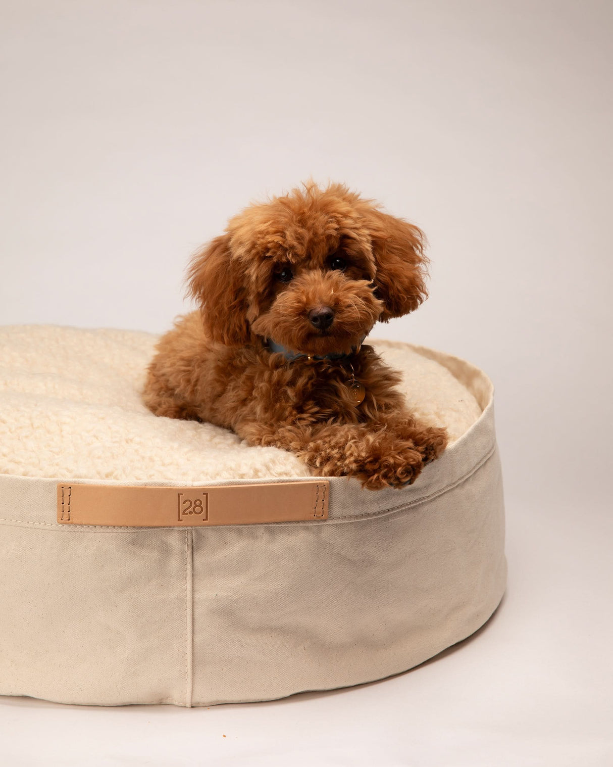 IRVING COTTON DRILL DOG & CAT BED | מיטה לכלבים ולחתולים